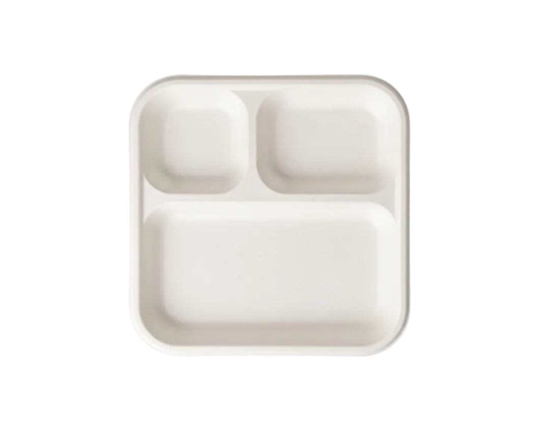 9 Inch Square Plate with 3 Compartments