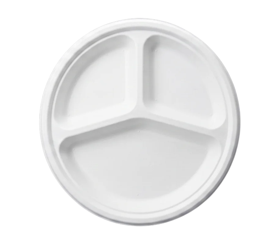 9 Inch Square Plate with 3 Compartments