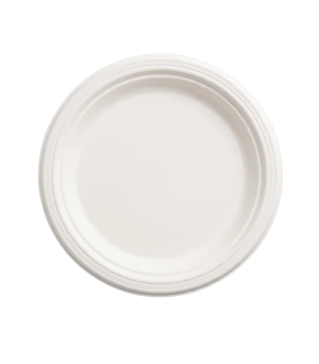 11 Inch Round Plate No Compartments